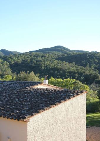 La Solana. Piscina y jardín. Muy cerca de la playa gallery image 2