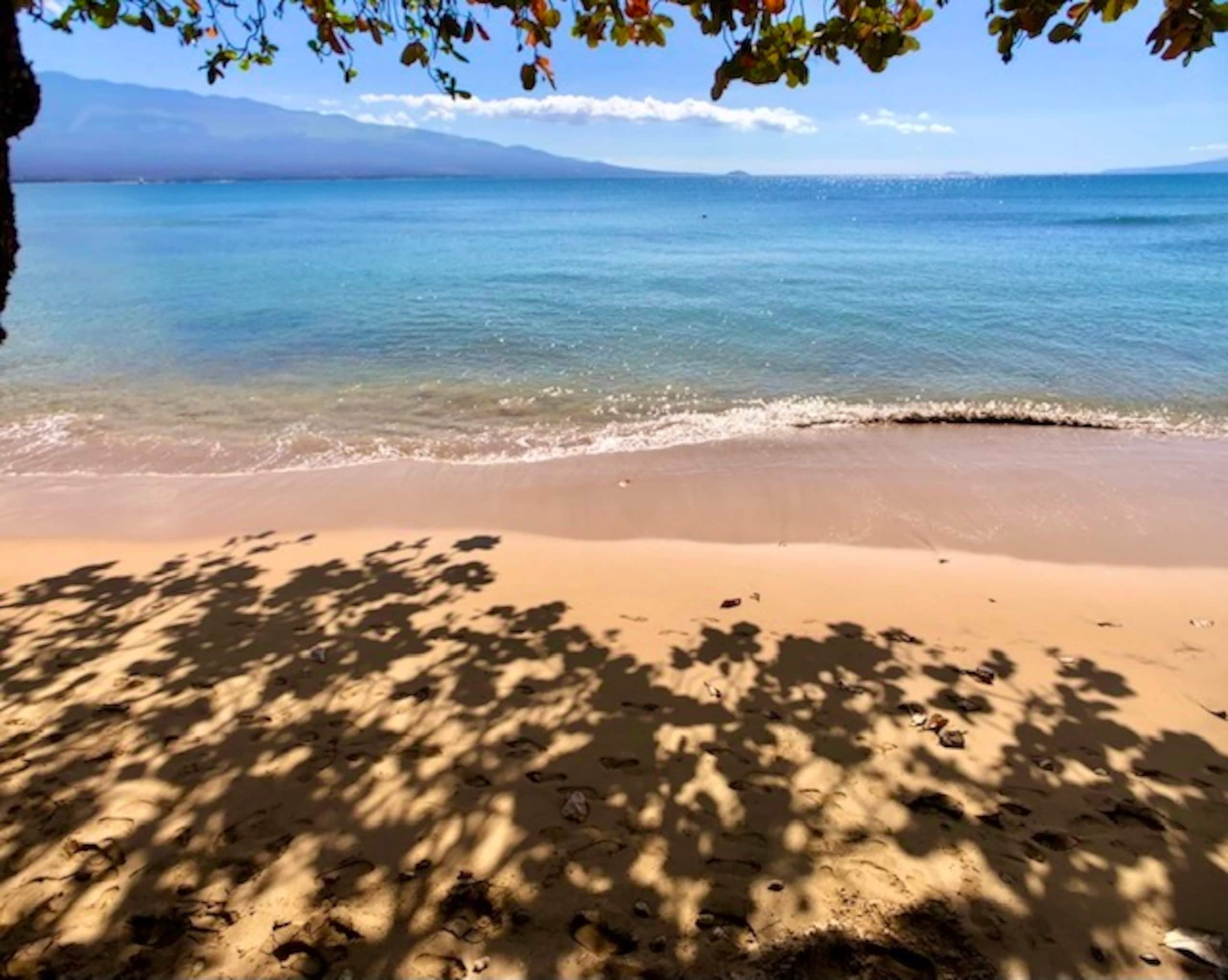Condo in Wailuku · ★4.91 · 2 bedrooms · 3 beds · 2 baths - Image 34