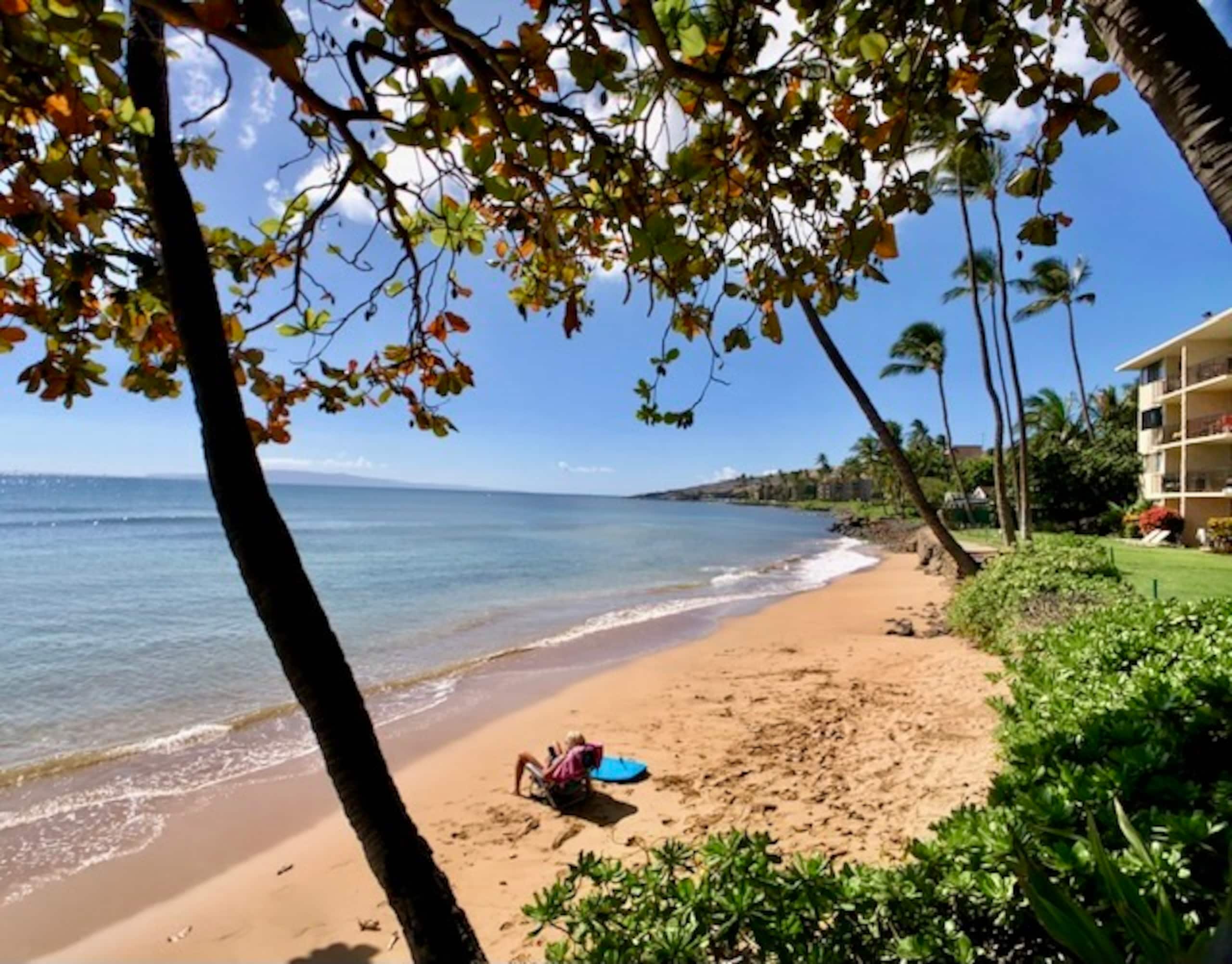 Condo in Wailuku · ★4.91 · 2 bedrooms · 3 beds · 2 baths - Image 33