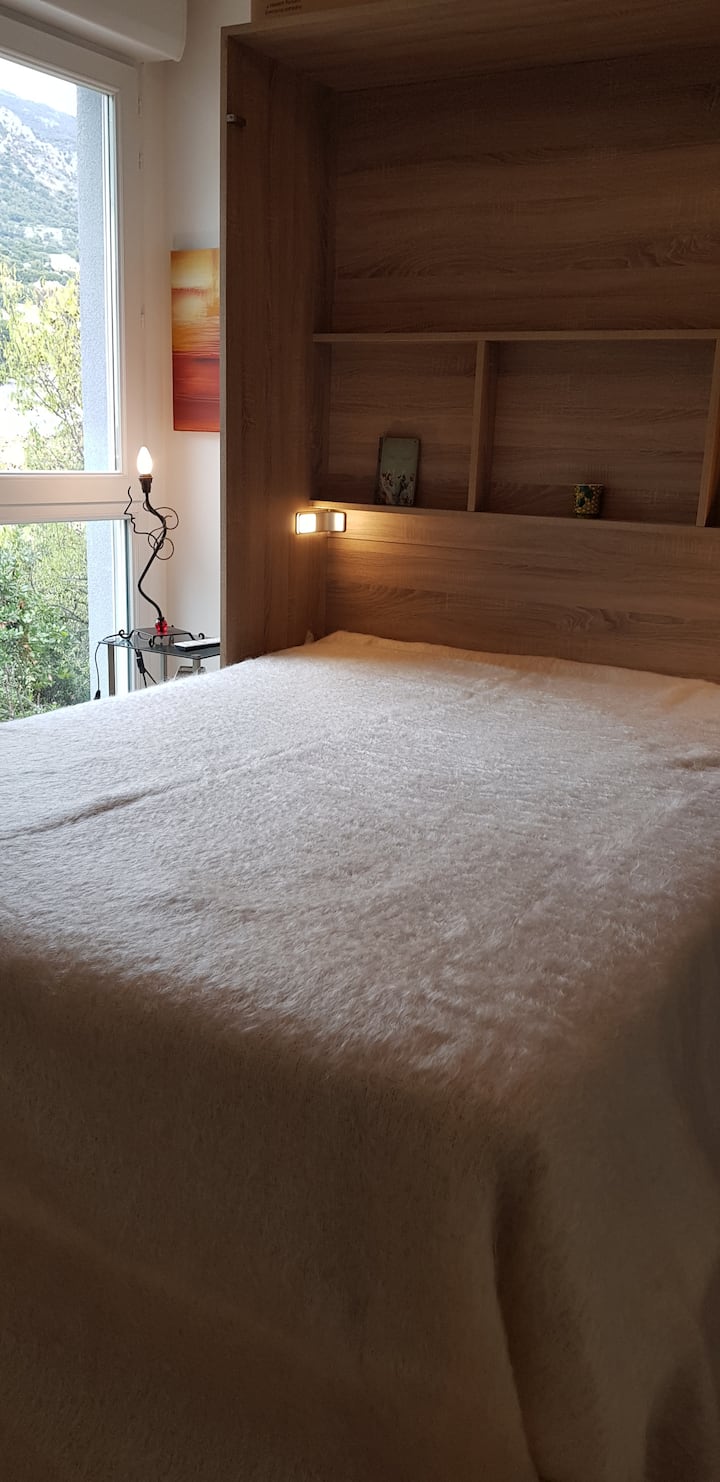 Ქვედა საძინებელი თავისი საშხაპე ოთახითა და უნიტაზით.