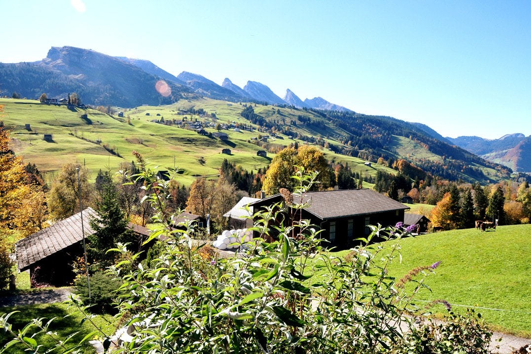 Wildhaus-Alt Saint Johann Vacation Rentals & Homes - St. Gallen,  Switzerland | Airbnb