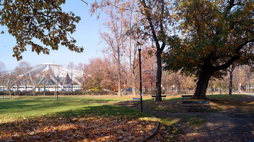 A serene park scene showcases trees in various stages of autumn, with colorful leaves scattered on the ground. A pathway meanders through the space, and a bench invites moments of reflection. In the background, a structure is partially visible among the trees.