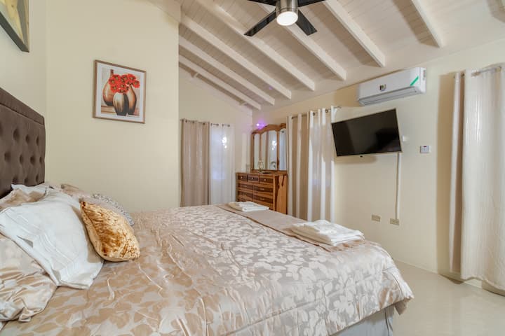 Master bedroom ( King size bed, ceiling fan,  AC unit,  TV, walk-in closet and a full bath)