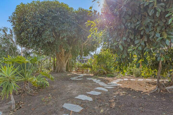 1-Acre Tropical Retreat, 3bd/3ba Pool, Beach, Yoga gallery image 5