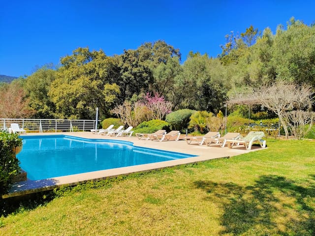 Sa Tafona Esporles ” Finca Son Quint”