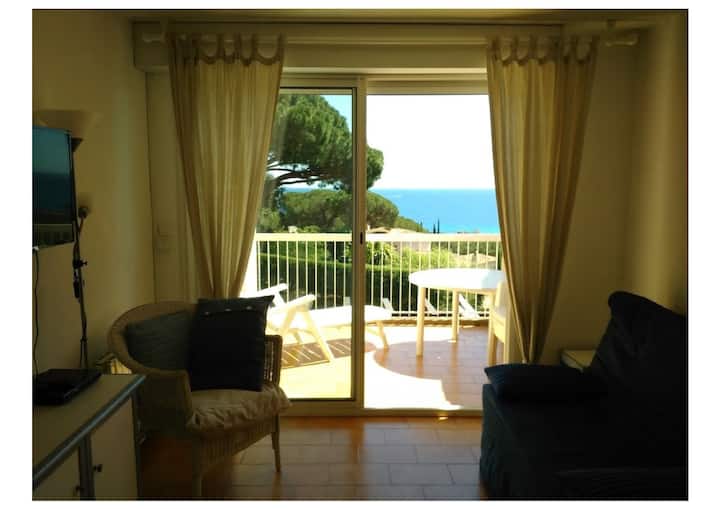 ركن الصالة والتراس 