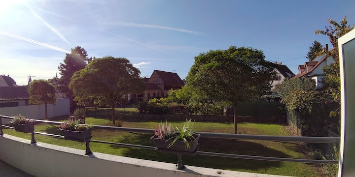 Superbe Appartement Avec Grande Terrasse - Sélestat
