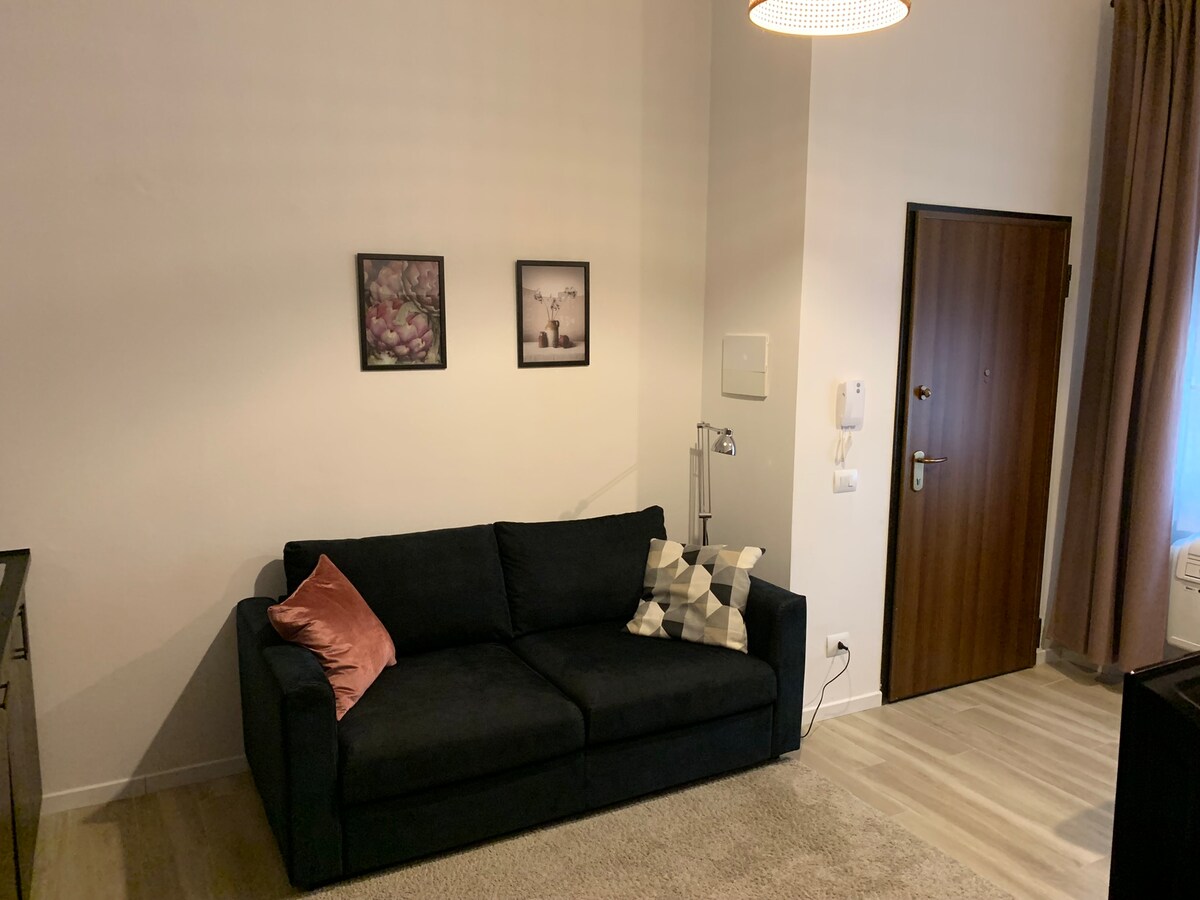 A dark sofa with decorative pillows is situated against a light wall, accompanied by framed artwork above. A standing lamp is positioned nearby, providing soft lighting. The door is visible on one side, leading to an entrance, while natural light filters through a window draped with light curtains.