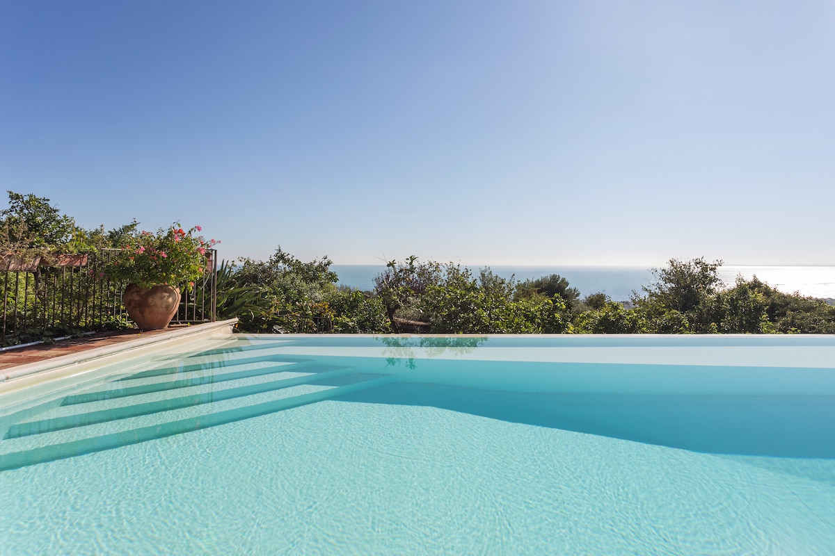 A clear view of the infinity pool showcases calm water reflecting the sky. Surrounding greenery provides a natural frame, while distant ocean waves are visible against the horizon. The setting conveys a serene atmosphere, ideal for relaxation.