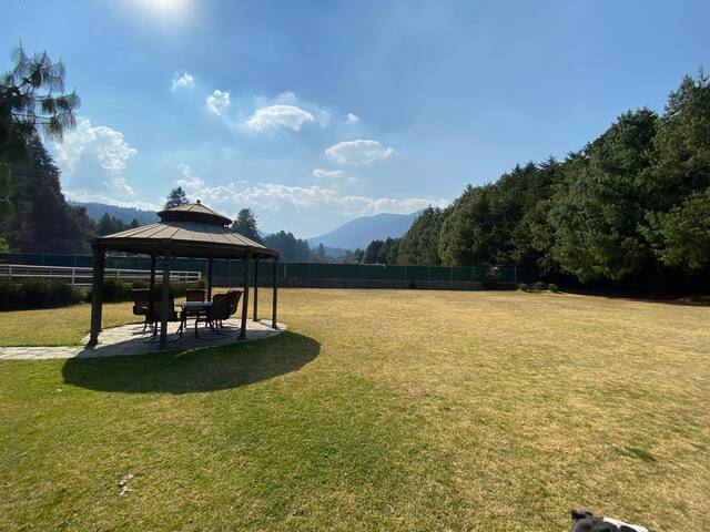 Casa de campo llena de vida con alberca