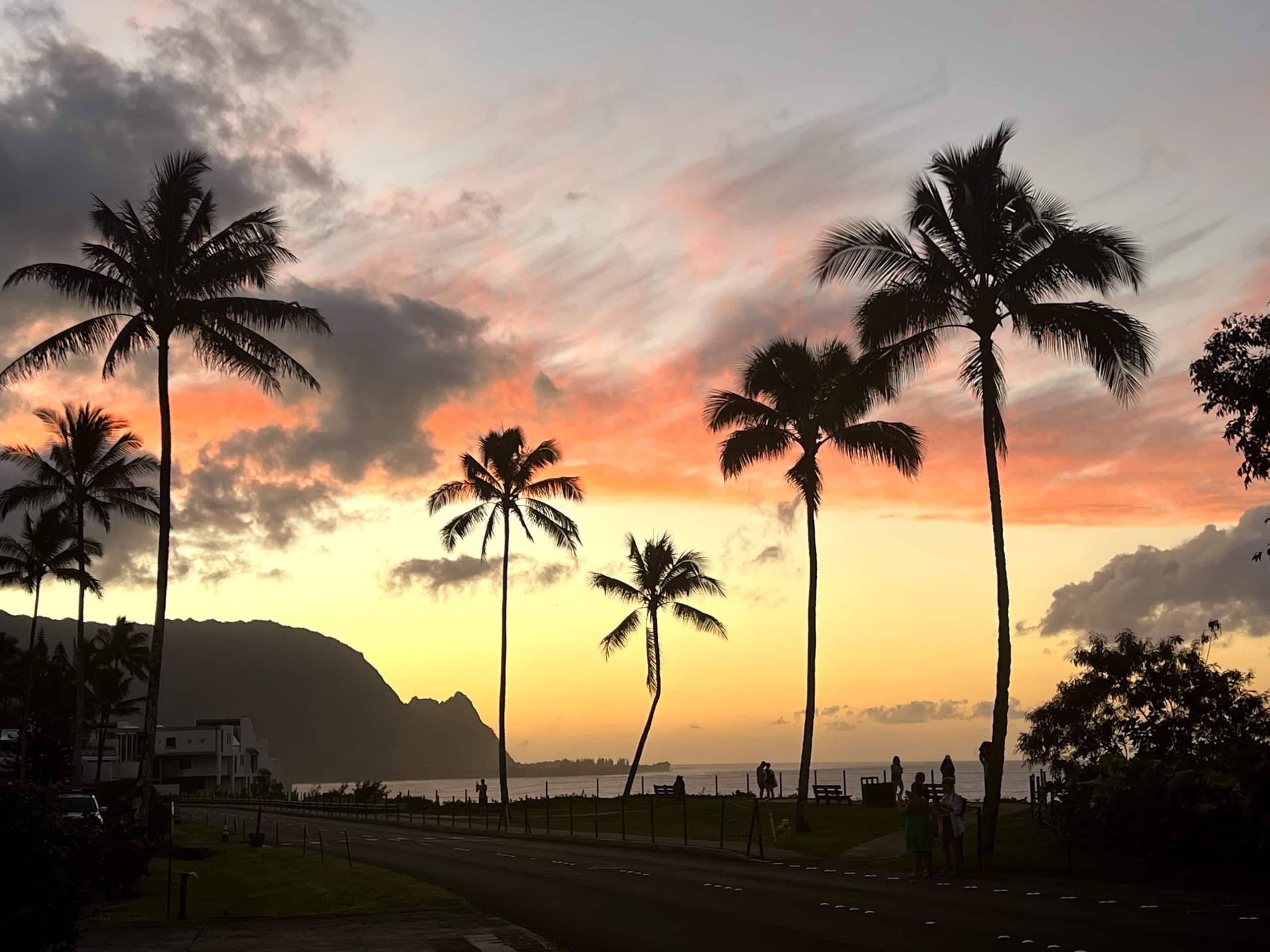 Condo in Princeville · ★4.94 · 1 bedroom · 1 bed · 1 bath - Image 22
