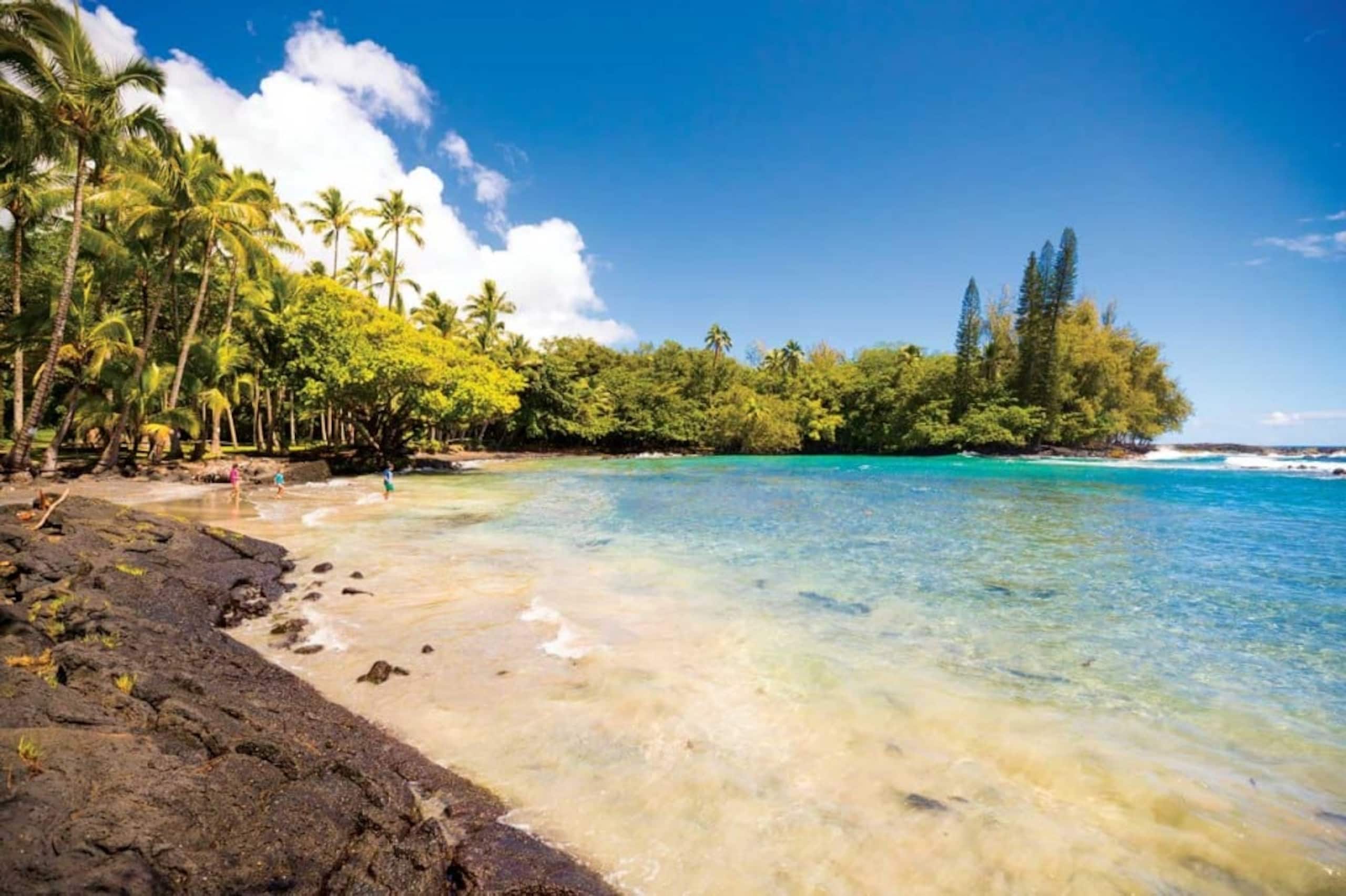 Guesthouse in Keaau · ★4.98 · 1 bedroom · 2 beds · 1 private bath - Image 44