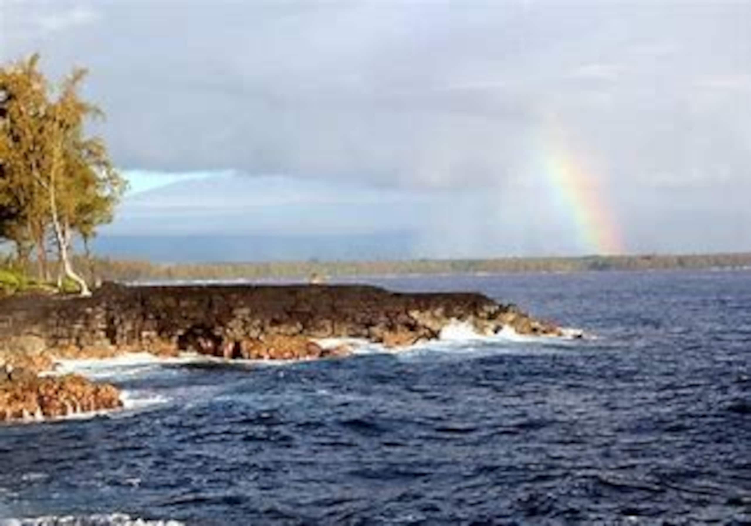 Guesthouse in Keaau · ★4.98 · 1 bedroom · 2 beds · 1 private bath - Image 47