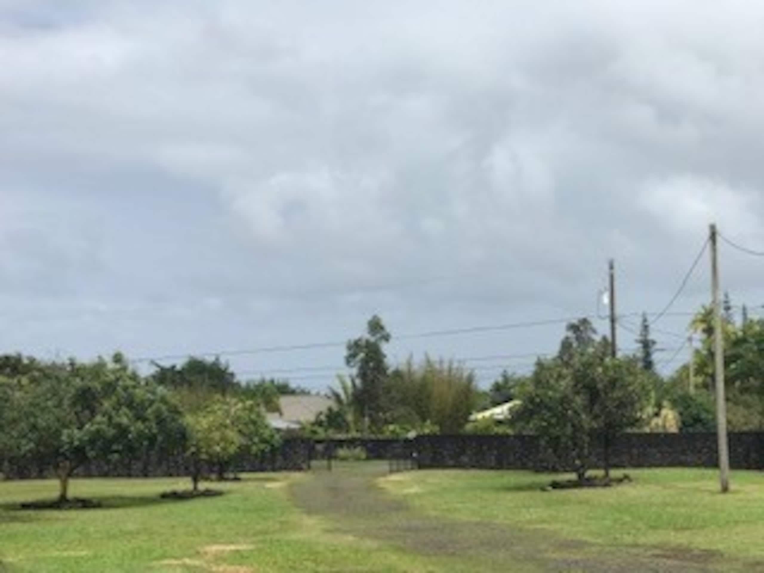 Guesthouse in Keaau · ★4.98 · 1 bedroom · 2 beds · 1 private bath - Image 45