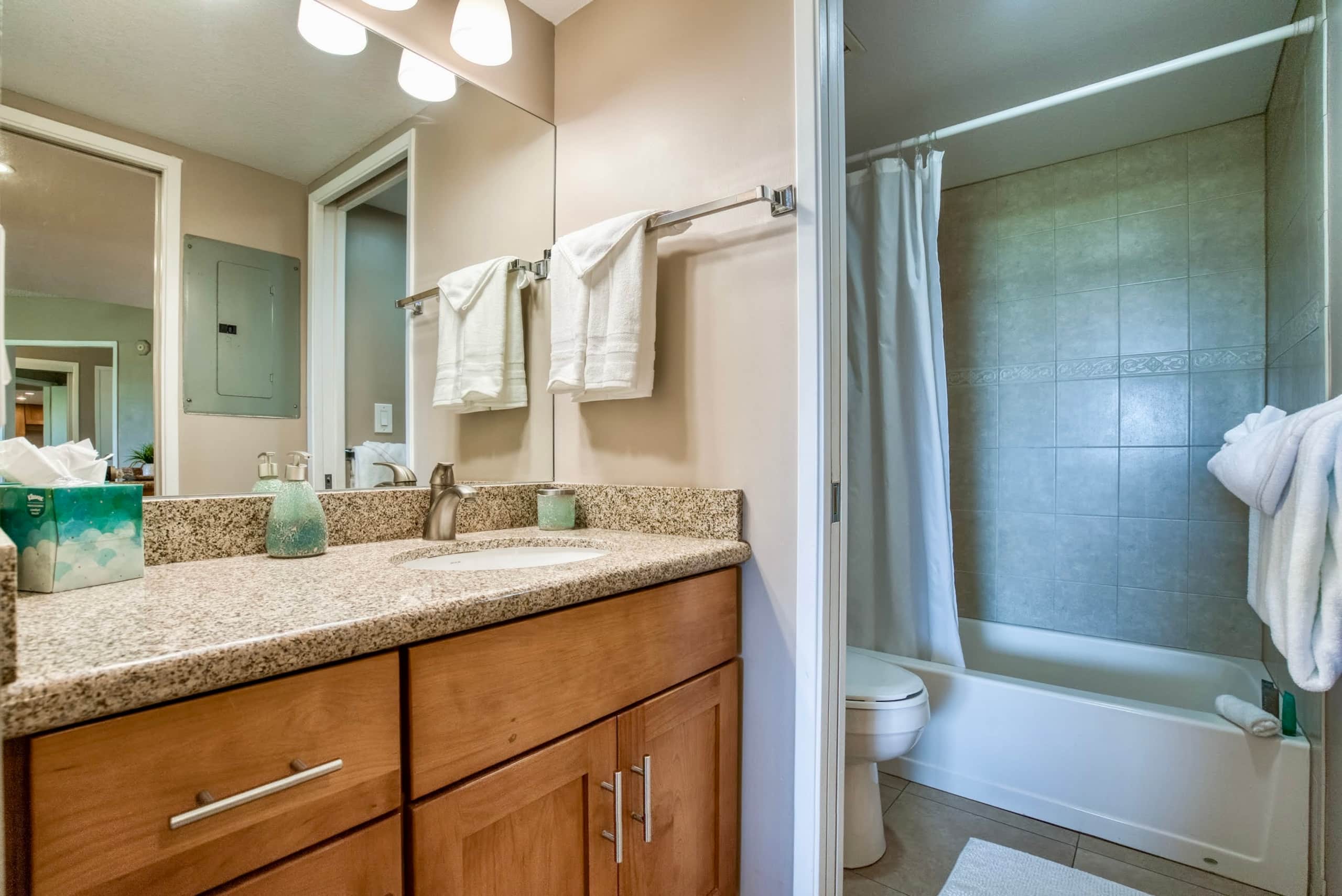 Condo in Kihei · ★4.88 · 2 bedrooms · 4 beds · 2 private baths - Image 17