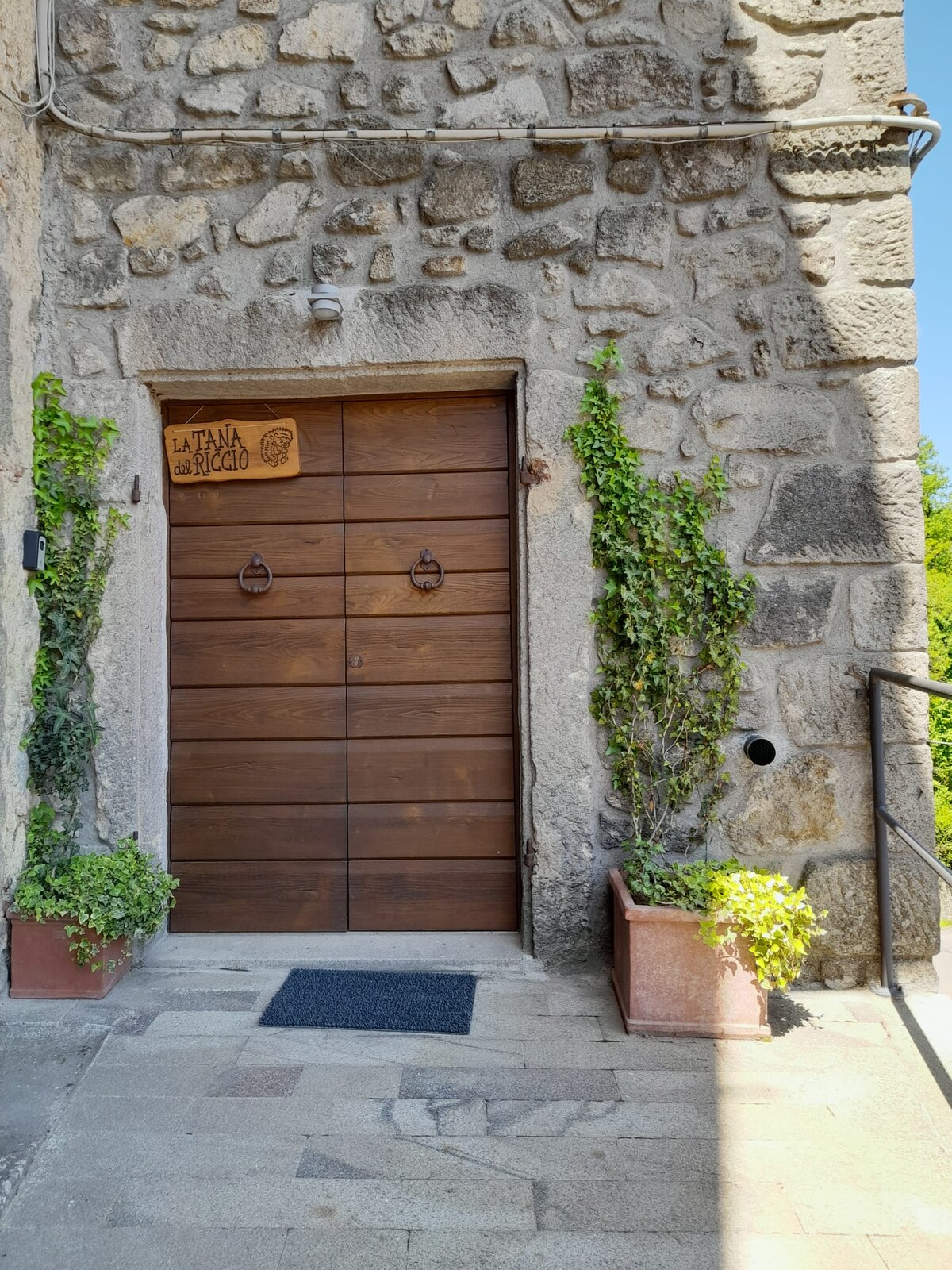 The entrance to 'La Tana del Riccio' features a sturdy wooden door adorned with two decorative handles. The door is framed by vibrant green plants in terracotta pots, enhancing the rustic stone facade. Natural light highlights the texture of the stones and the warm wood.