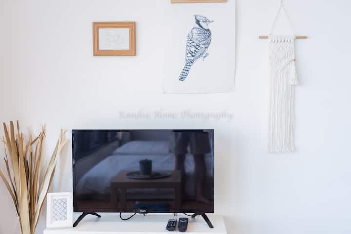 Xandra 218 Macalister Seaview Modern Studio Suite - George Town