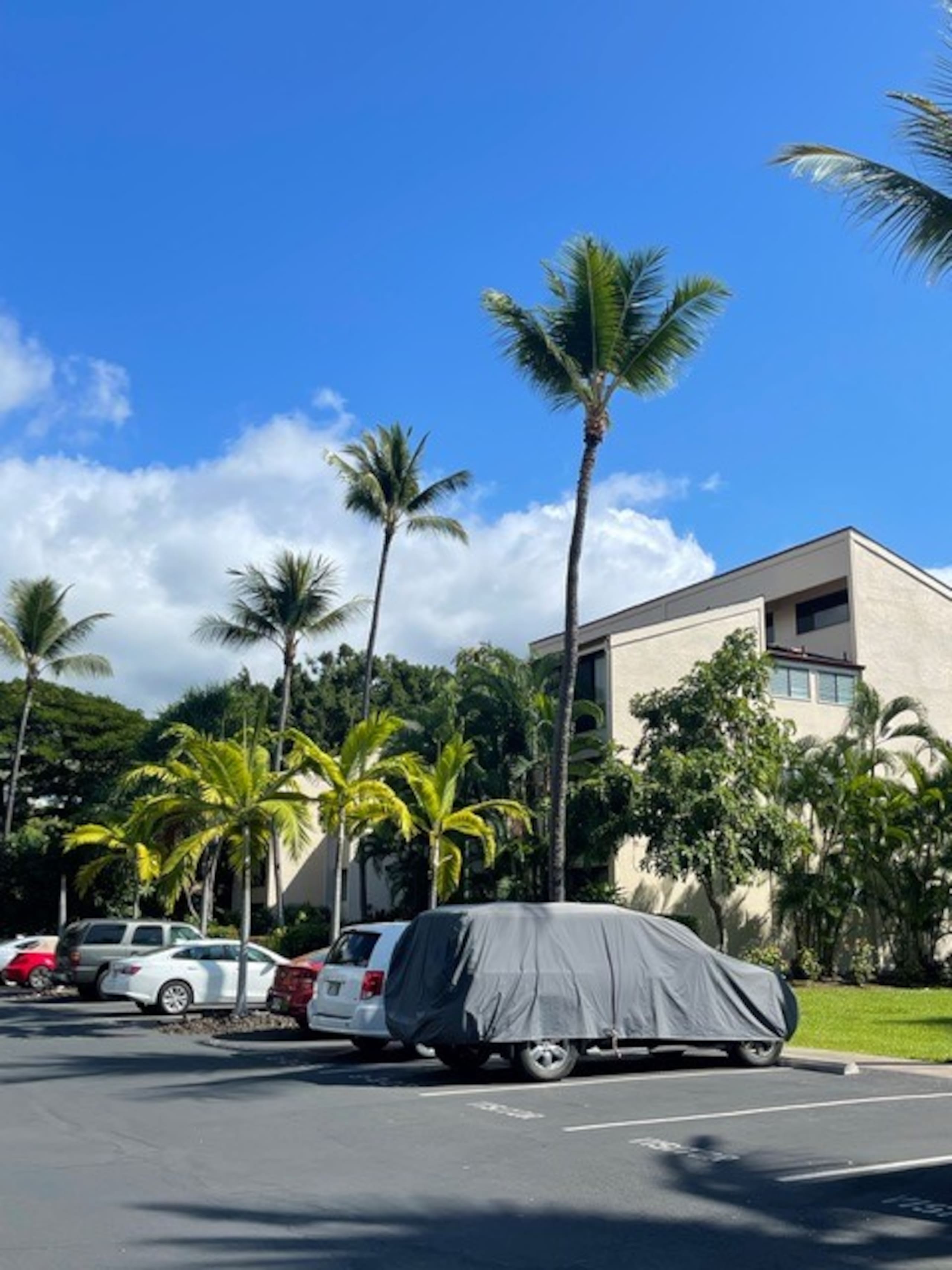 Condo in Kailua-Kona · ★4.85 · 1 bedroom · 1 bed · 2 baths - Image 13