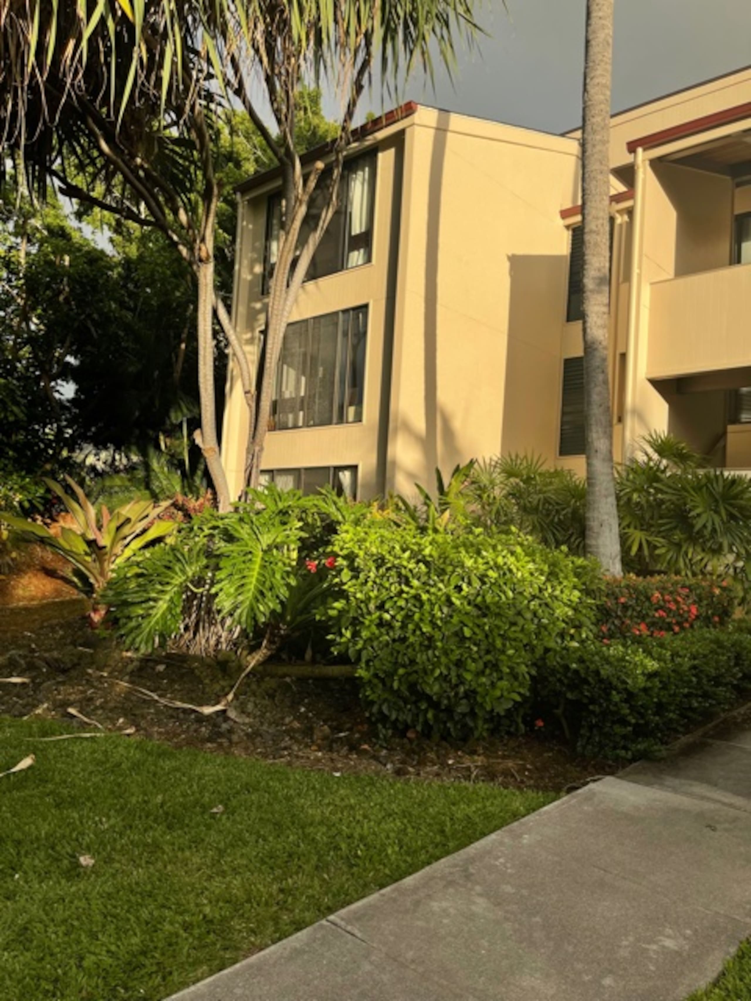 Condo in Kailua-Kona · ★4.85 · 1 bedroom · 1 bed · 2 baths - Image 17