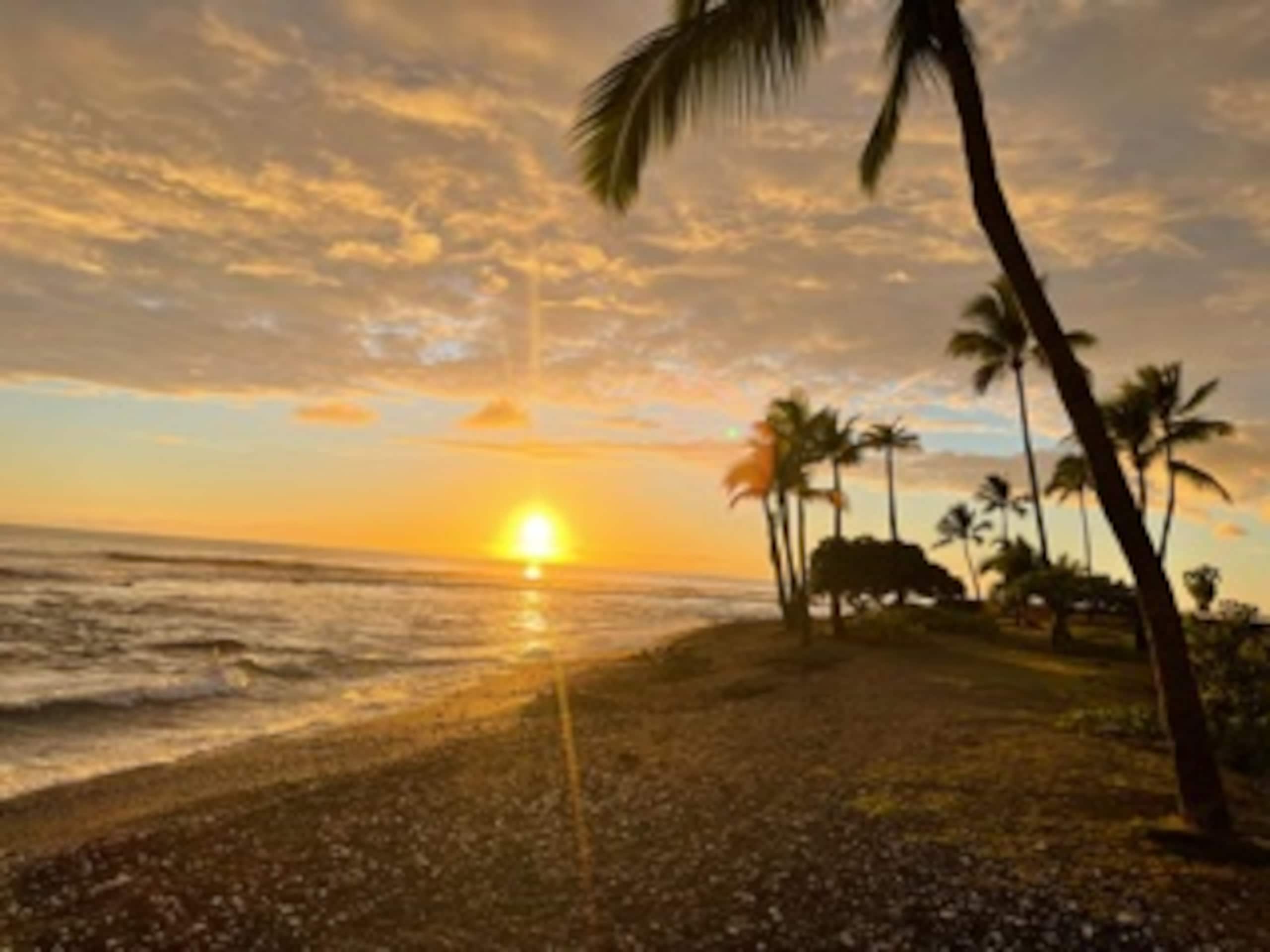 Condo in Kailua-Kona · ★4.85 · 1 bedroom · 1 bed · 2 baths - Image 22