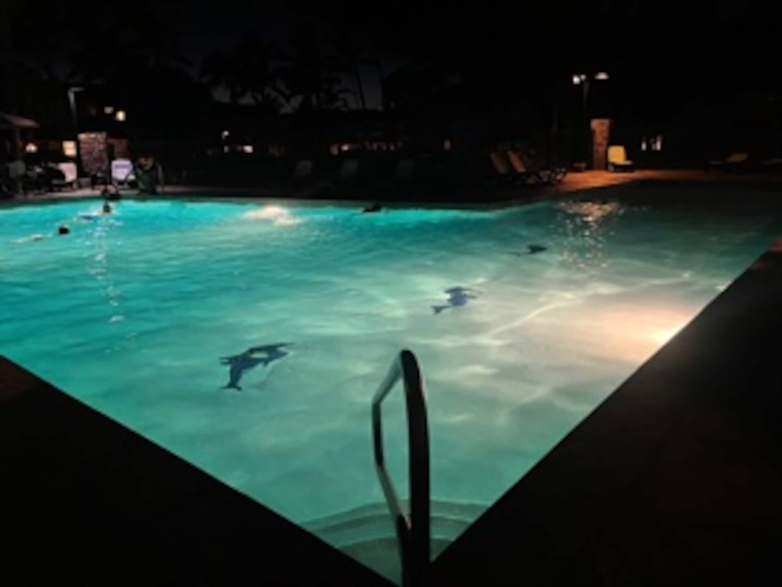 Condo in Kailua-Kona · ★4.85 · 1 bedroom · 1 bed · 2 baths - Image 27