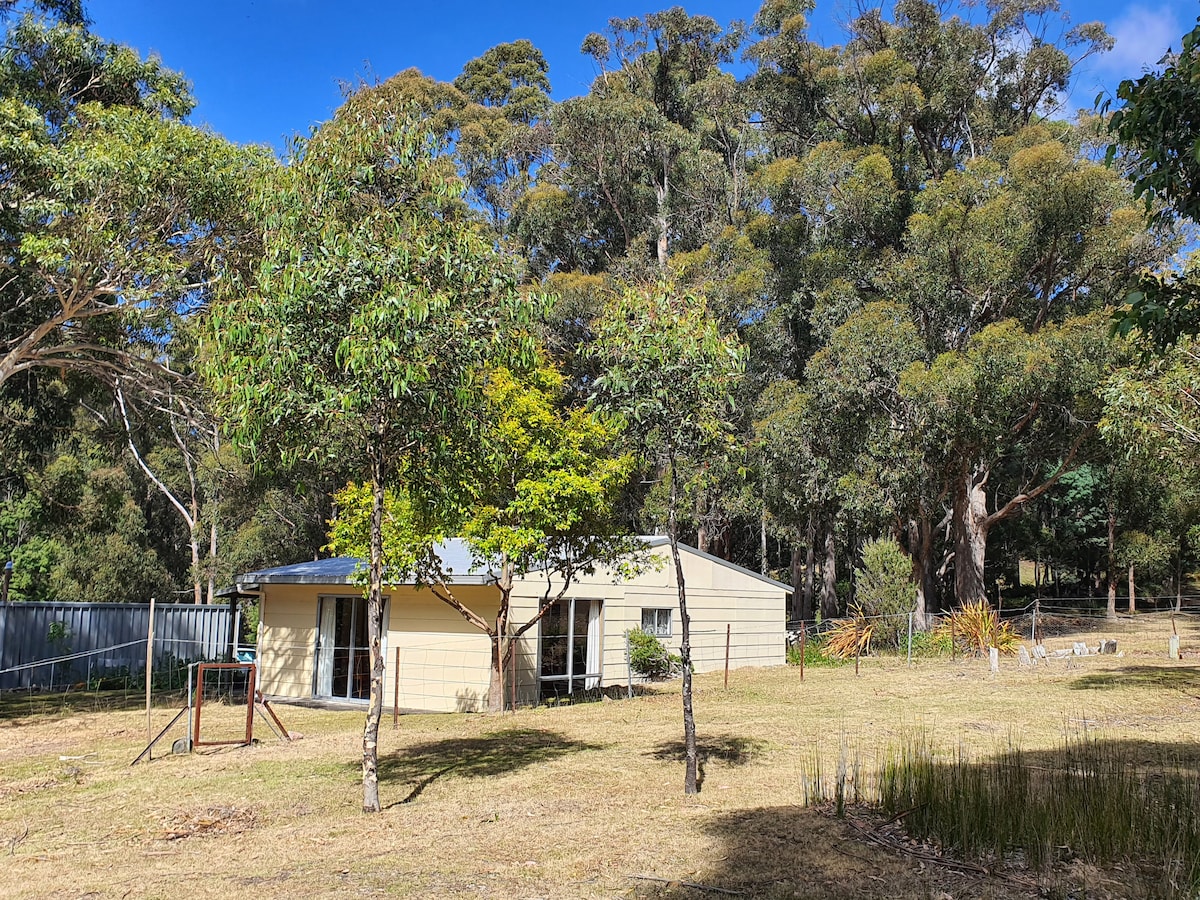The cottage is situated in a natural bush setting, surrounded by tall trees and lush greenery. A spacious yard is visible, with clear blue skies above. Large windows can be seen on the cottage's exterior, allowing for light within, while a shaded area is created by nearby foliage.