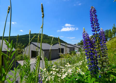 Top Airbnb: Sauerland Lodge - House X & House Juliana in Winterberg