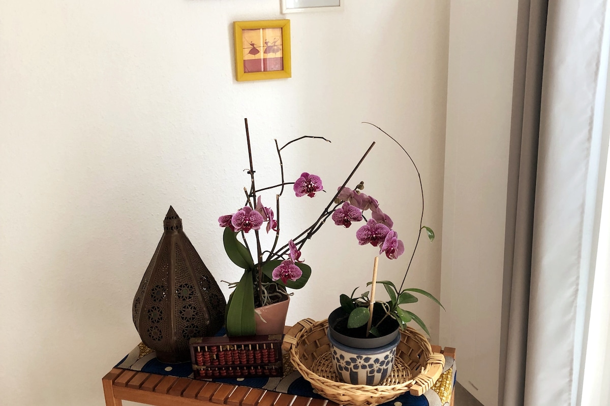 Airbnb performant: Very quite flat located near Place Stanislas à Nancy