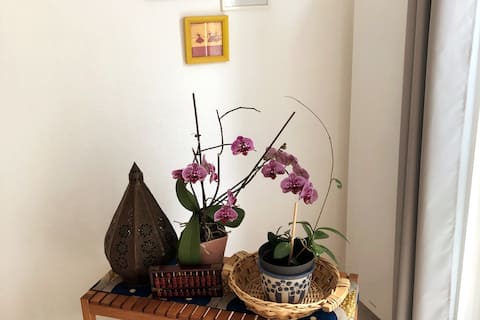 Airbnb performant: Very quite flat located near Place Stanislas à Nancy