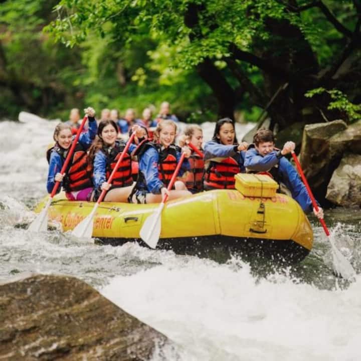 12-guest Smoky Mtn Cabin: Spring Fun Near All - North Carolina