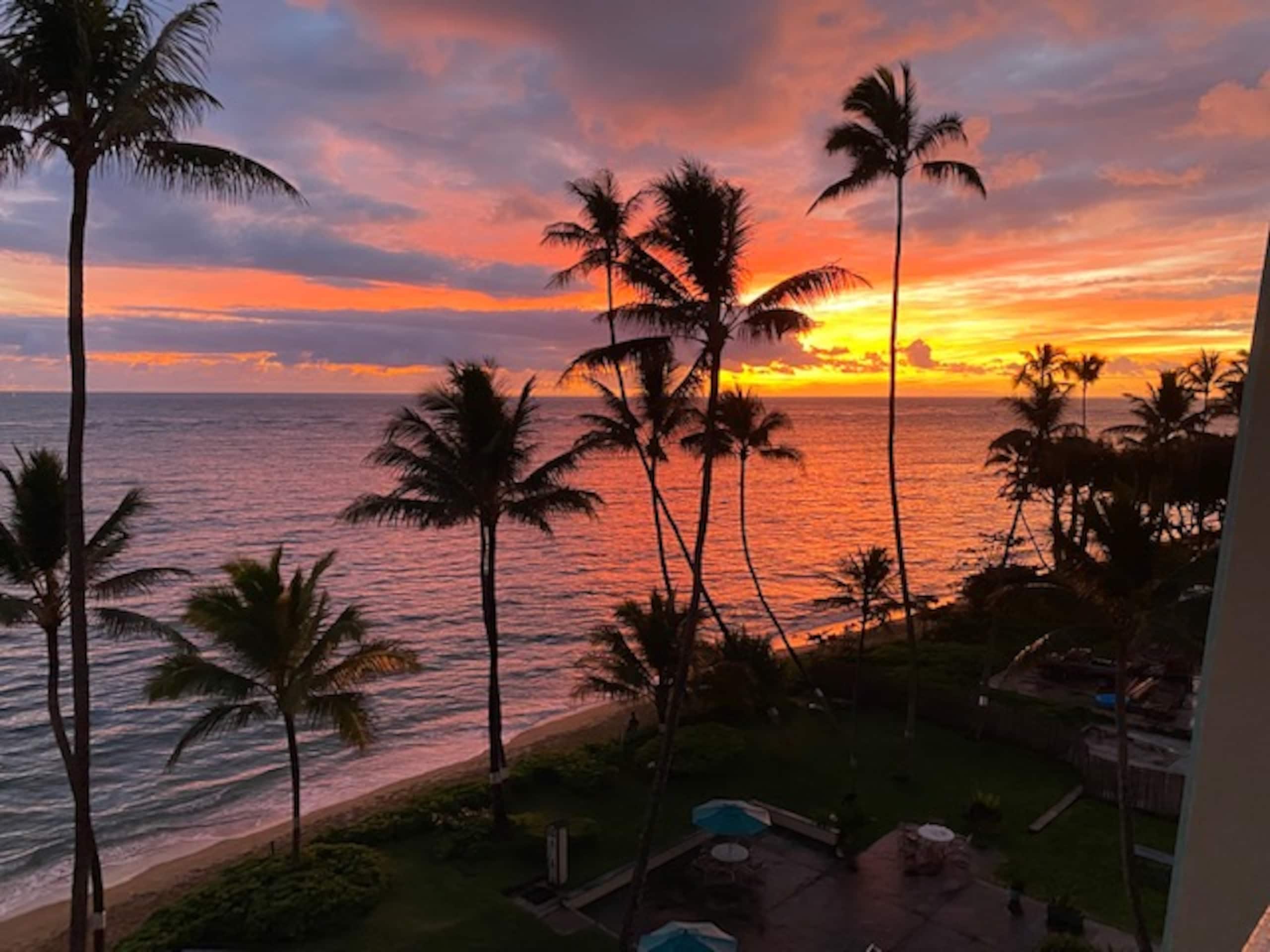 Condo in Hauula · ★4.8 · 1 bedroom · 2 beds · 1 private bath - Image 22