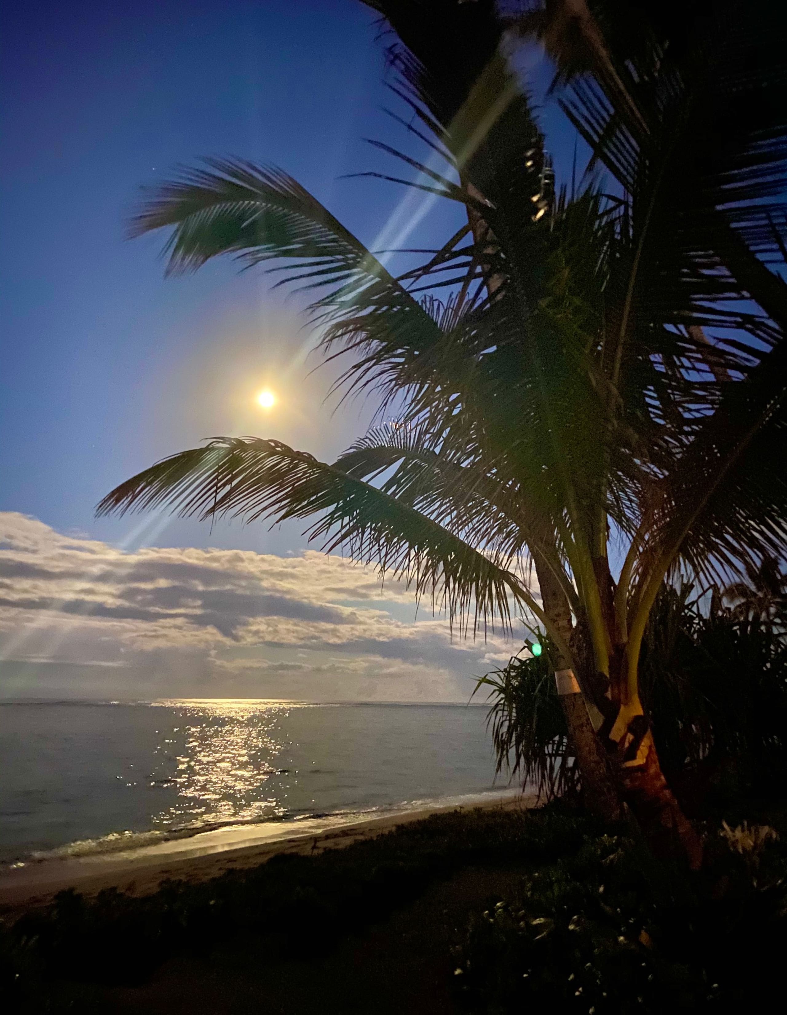 Condo in Hauula · ★4.8 · 1 bedroom · 2 beds · 1 private bath - Image 34