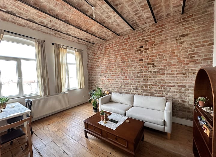 Shiny and calm apartment in the center of Istanbul Apartments for Rent in Beyoğlu, İstanbul