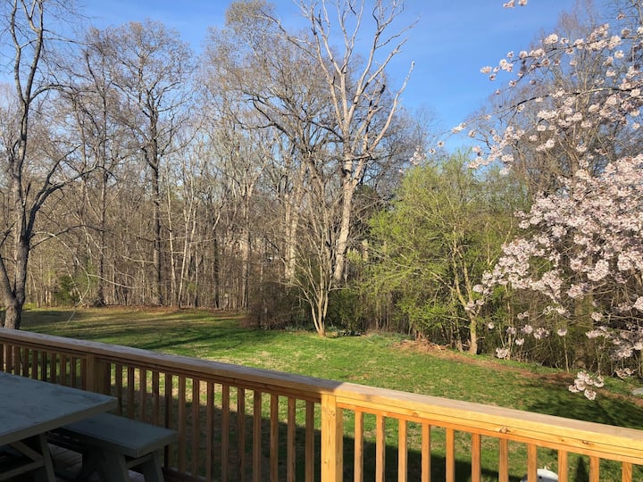 Elkin Cabins Cabins and More Airbnb