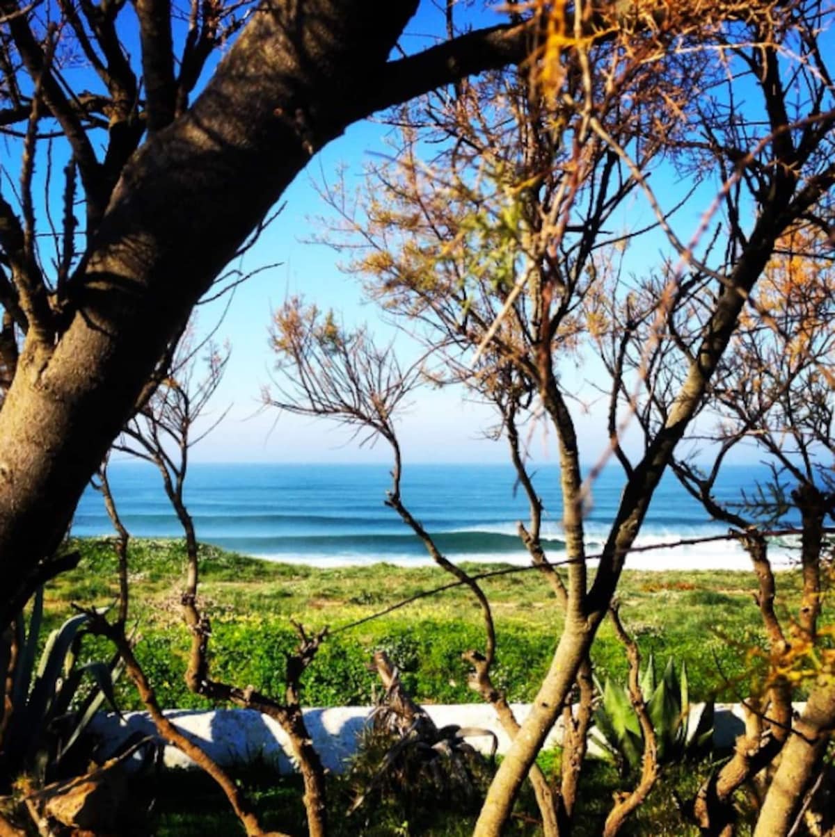 A view of the coastline is framed by trees, showcasing the blue ocean and a sandy beach in the distance. The vibrant sky above complements the greenery of the landscape, creating a serene atmosphere.