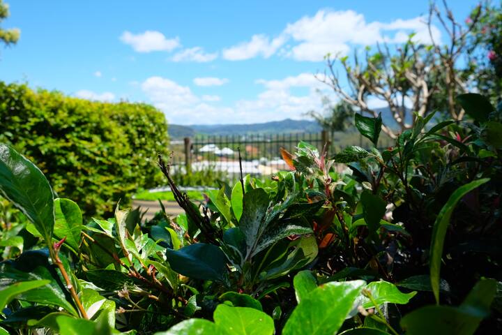 Opera House above Coffs Jetty gallery image 5