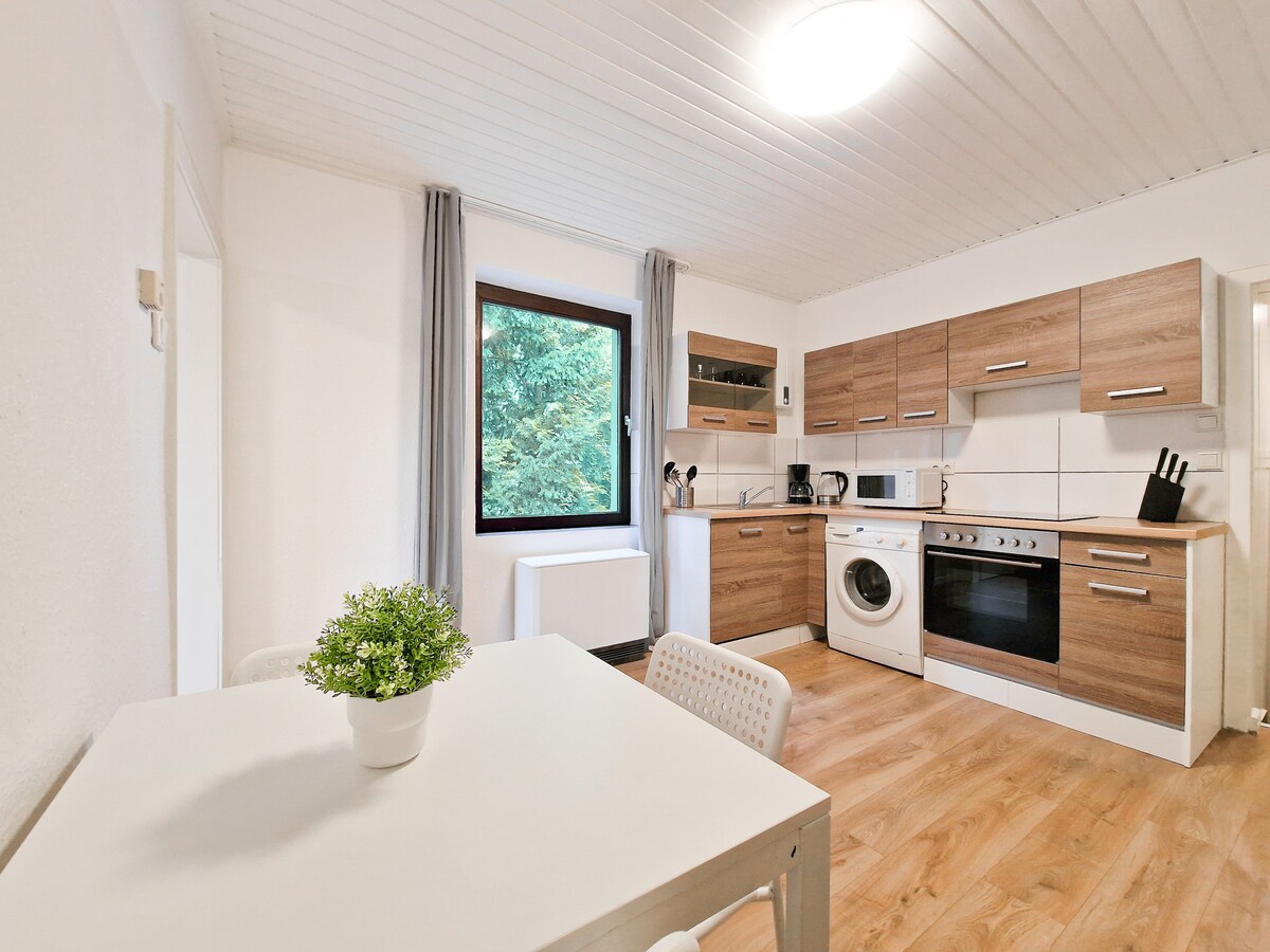 Anuncio de Airbnb popular: Tolstov Apartments - 1 Room Monteur Apartment en Laar