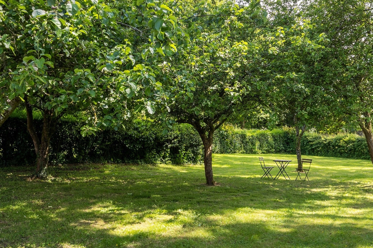 A spacious green garden area is illuminated by natural sunlight, featuring several trees and a well-maintained lawn. A small cafe table with two chairs is situated beneath the trees, offering a peaceful space for relaxation and enjoyment of the surrounding nature.