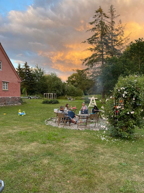 Wedding Diaries - Country Cottage