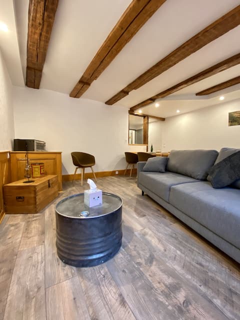 Annonce Airbnb populaire: Contemporary apartment in the center of Kaysersberg à Kaysersberg Vignoble