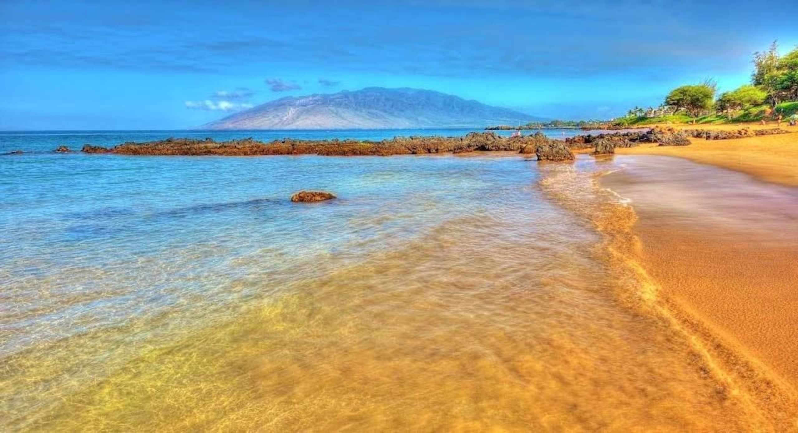 Condo in Kihei · ★4.87 · 2 bedrooms · 3 beds · 2 private baths - Image 56