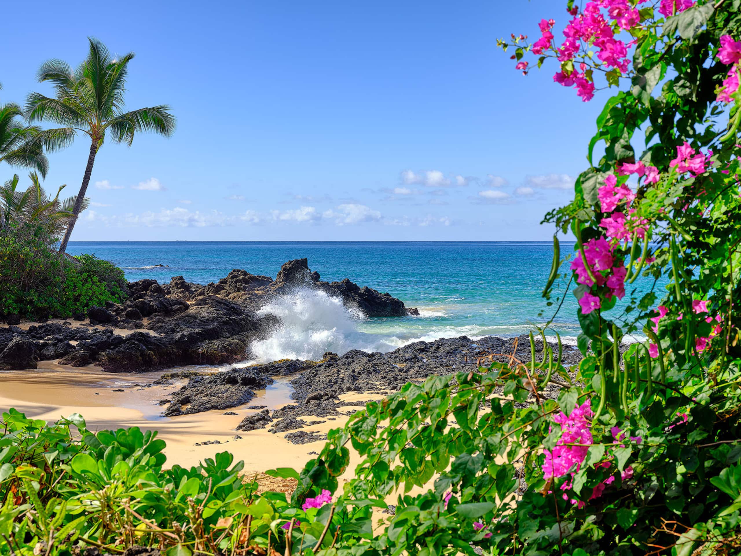 Condo in Kihei · ★4.87 · 2 bedrooms · 3 beds · 2 private baths - Image 62