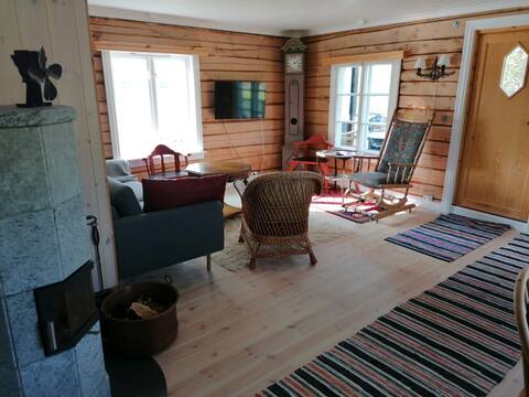 Successful Airbnb property: Vacation home, one kilometer from the center of Røros in Trøndelag