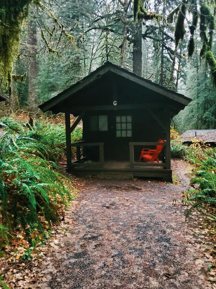Tiny Cabin G w 1 Dbl Bed Silver Falls State Park Tiny houses for