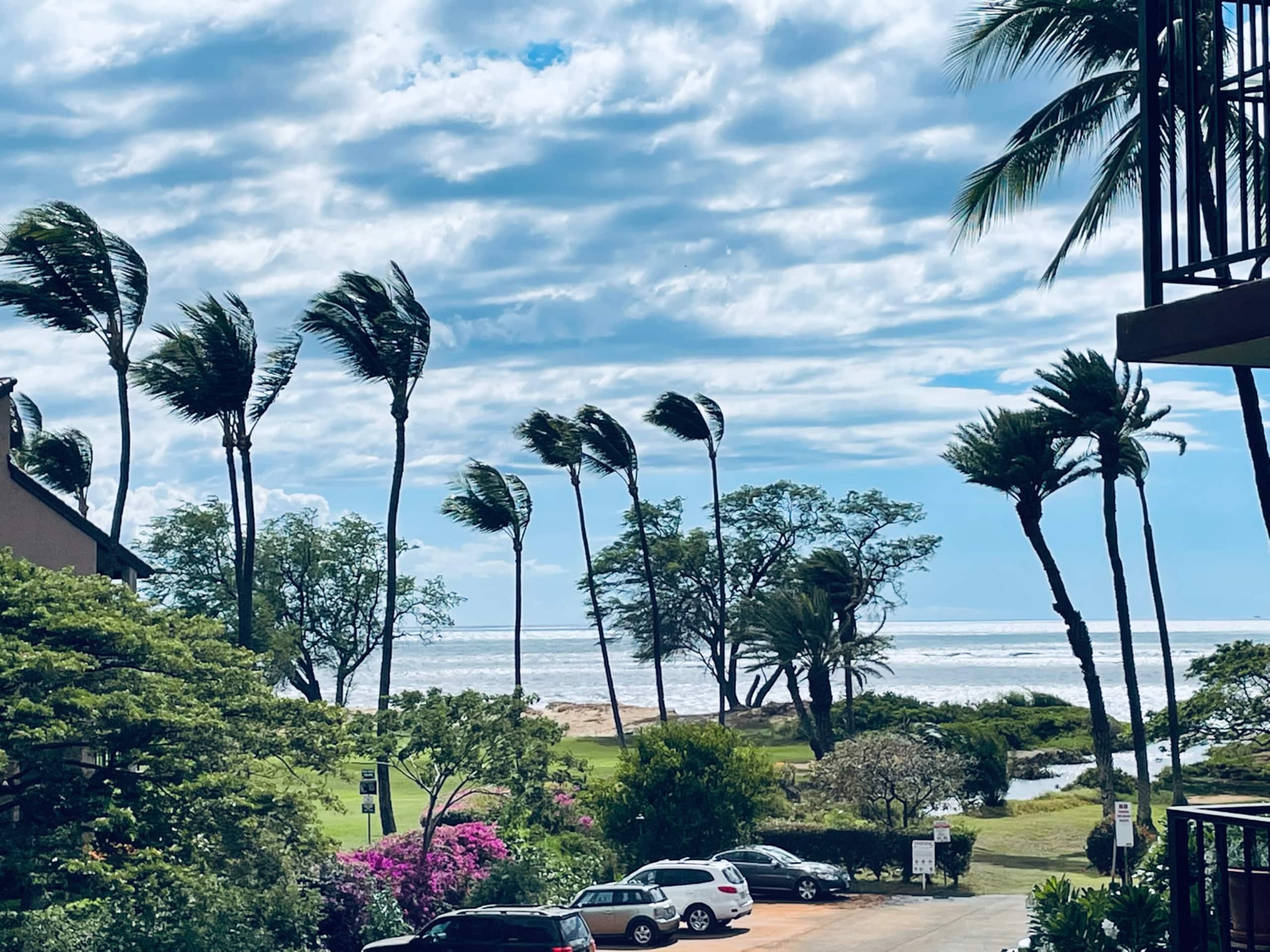 Condo in Kihei · ★4.93 · 1 bedroom · 2 beds · 1 bath - Image 1