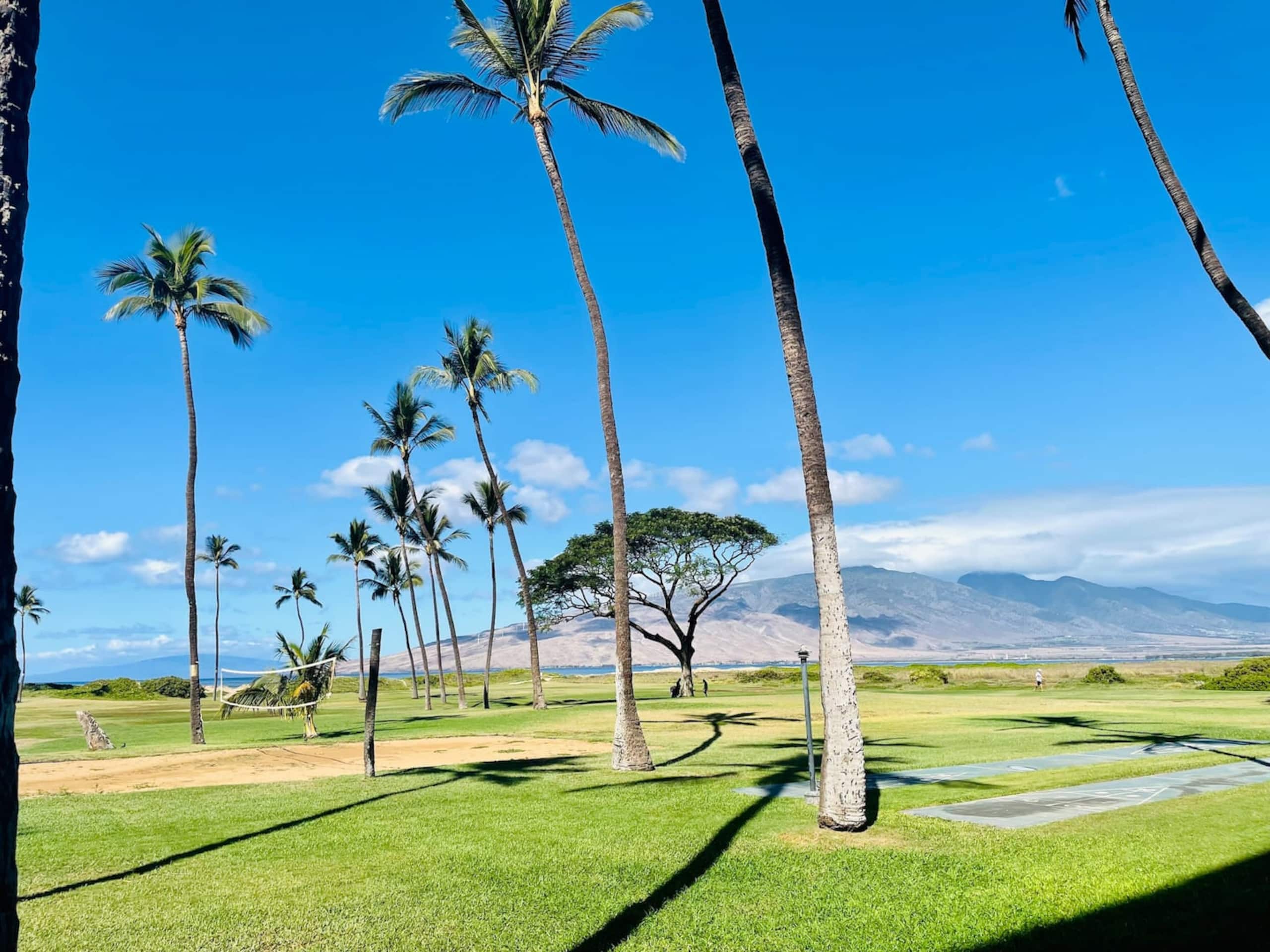 Condo in Kihei · ★4.93 · 1 bedroom · 2 beds · 1 bath - Image 29