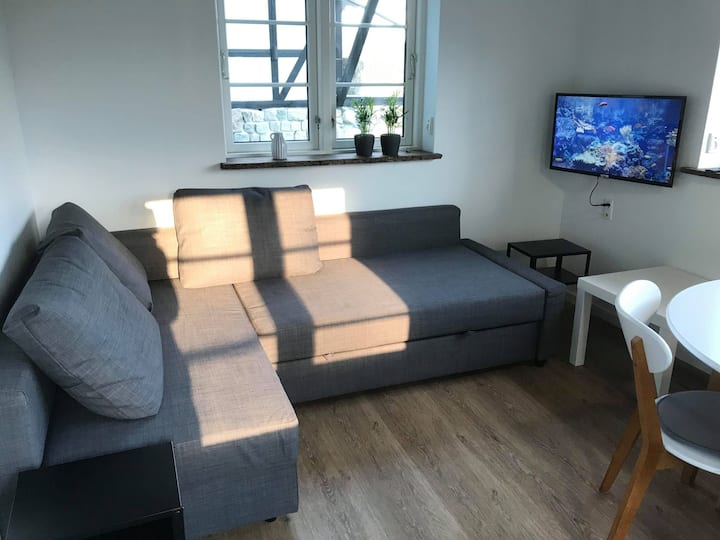 Sehemu mbili za kulala ziko sebule kwenye kitanda cha sofa 