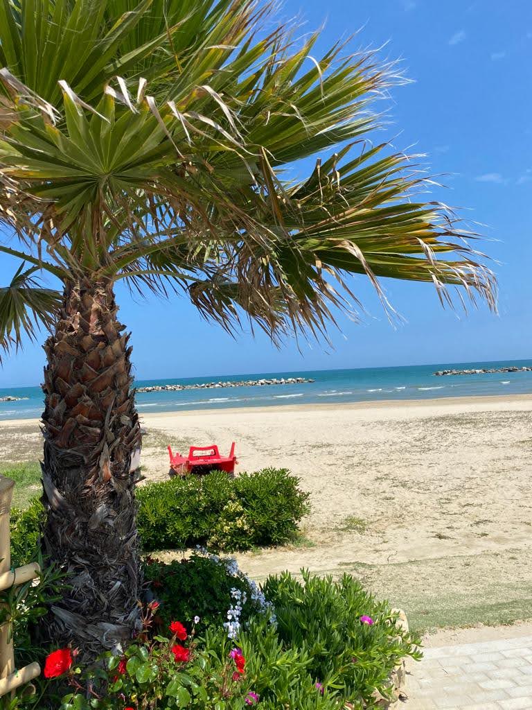 A sandy beach is viewed through a palm tree, with gentle waves lapping at the shore. A red beach chair is positioned nearby, surrounded by greenery and colorful flowers, under a clear blue sky.
