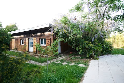 "Chalet des voyages": good vibe, cozy, forest & RER