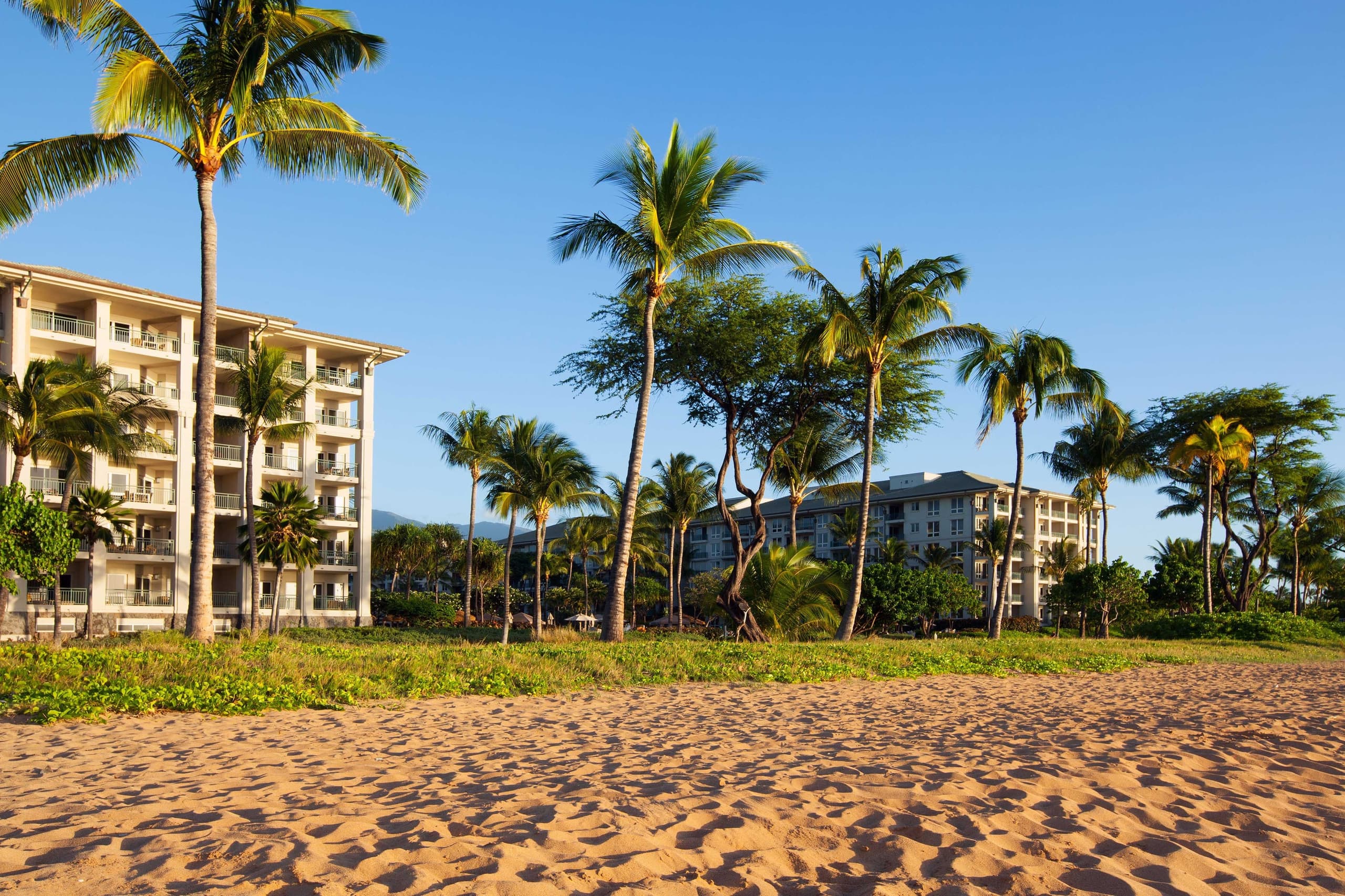 Condo in Lahaina · ★5.0 · Studio · 2 beds · 1 bath - Image 47